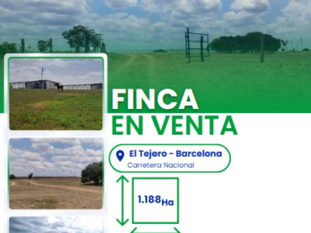 Finca en venta en Barcelona, Amazonas