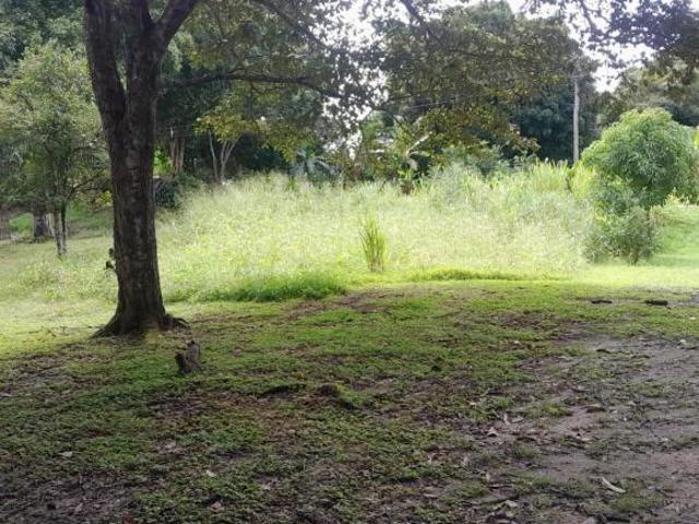 Se Vende Finca en Las Uvas de San Carlos