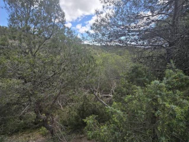 Terreno en venta en Zaragoza, Aragón