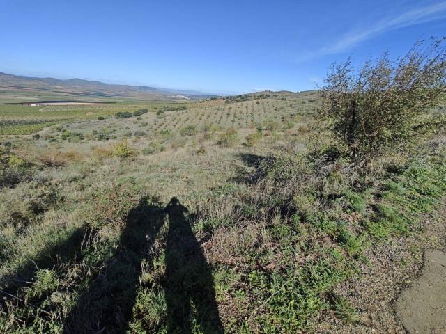 Terreno en venta en Comunidad de Calatayud, Aragón
