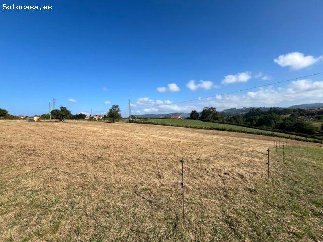Local Comercial en venta en Villaviciosa, Asturias