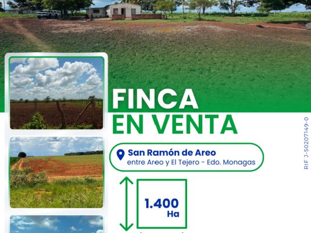 Finca en venta en Campo Obrero, Punta de Mata