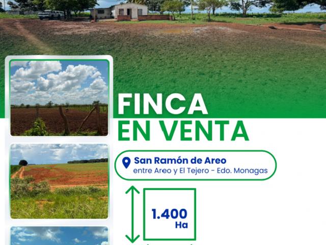 Finca en venta en Mata De Mata, Monagas
