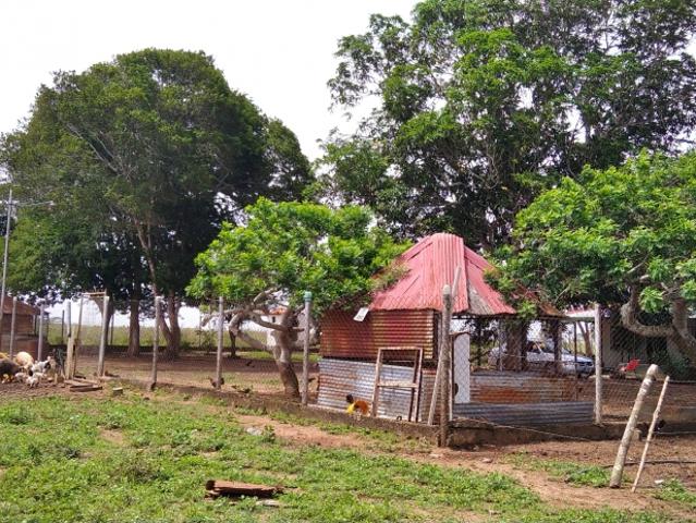 Finca en venta en Bolívar