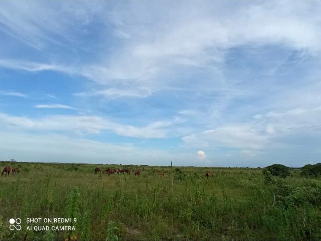 Finca en venta en Bolívar