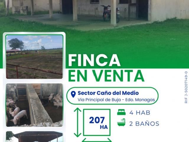 Finca en venta en La Linea, Maturín