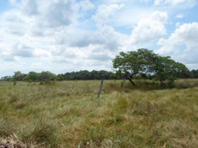 Finca en venta en Monagas