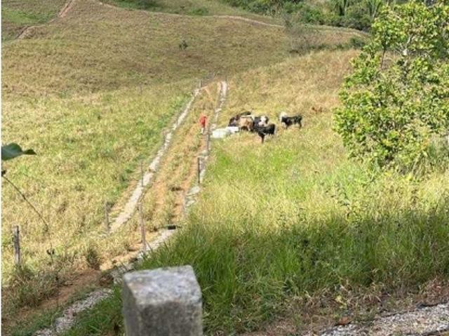 Finca en venta en Guaparo, Valencia