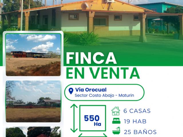 Finca en venta en Orocual El Breal, Monagas