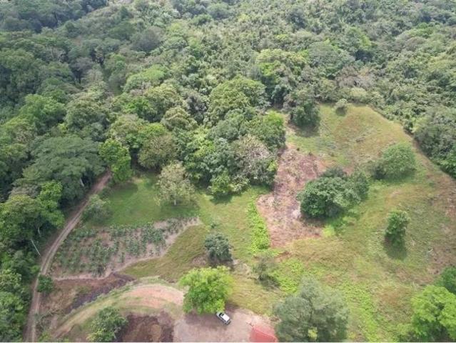 Terreno venta en Santa Isabel, Colón