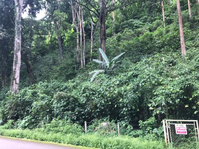 Propiedad en venta en Caripe, Monagas