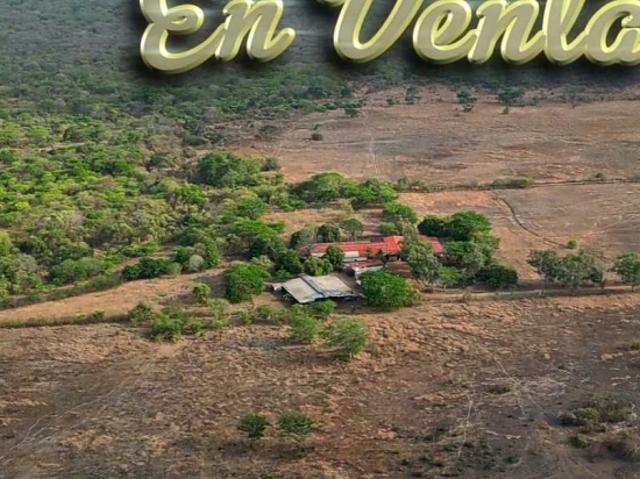 Finca en venta en Calabozo, Guárico