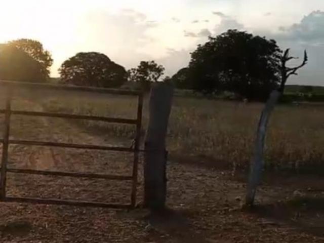 Finca en venta en Infante, Guárico