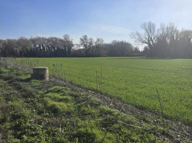 Terreno en venta en Ribera Alta del Ebro, Aragón