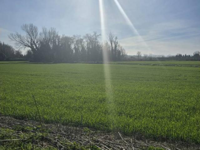 Terreno en venta en Ribera Alta del Ebro, Aragón