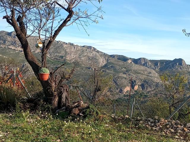 Chalet en venta en la Marina Baixa, Valencia