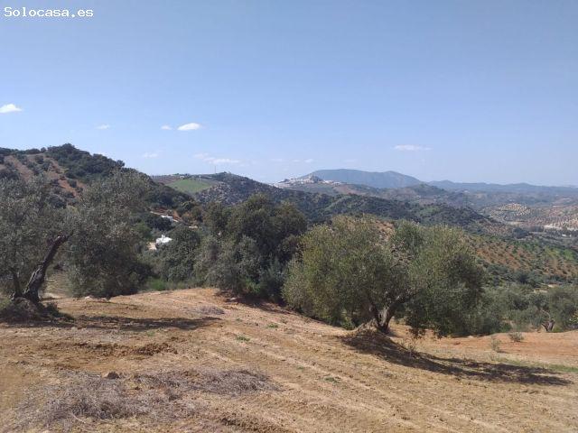 Local Comercial en venta en Pruna, Andalucía