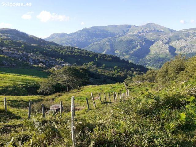 Local Comercial en venta en Arredondo, Cantabria