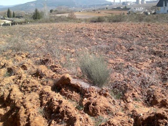 Terreno en venta en Bárcena del Bierzo, El Bierzo