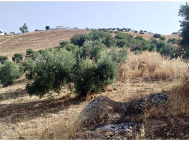 Local Comercial en venta en Sierra de Cádiz, Andalucía