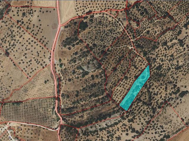 Chalet en venta en Sierra de Cádiz, Andalucía