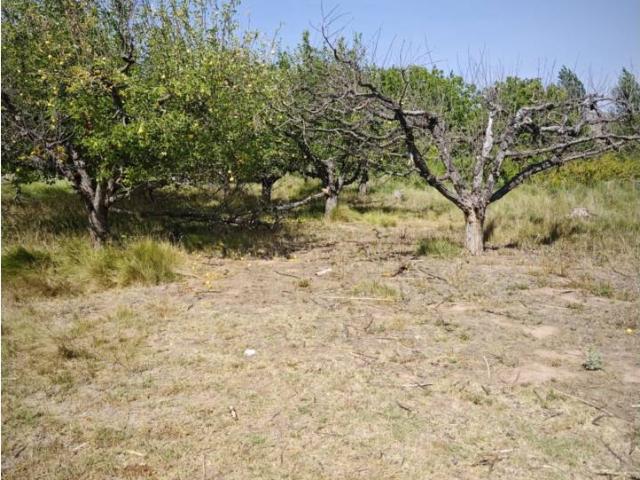Terreno en venta en Comunidad de Calatayud, Aragón