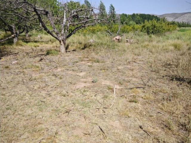 Terreno en venta en Comunidad de Calatayud, Aragón