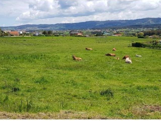 Local Comercial en venta en Meirás, Ferrol