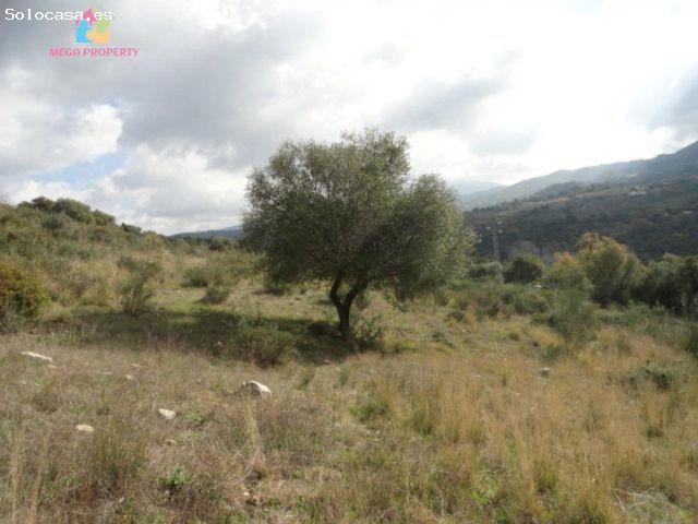 Local Comercial en venta en Serranía de Ronda, Andalucía