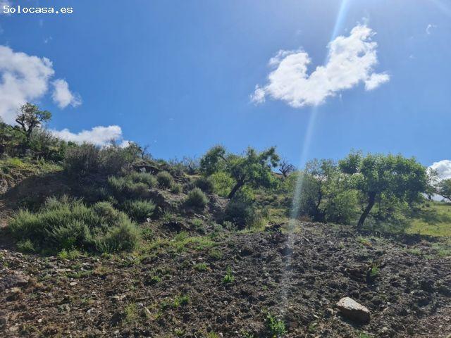 Local Comercial en venta en Mairena, Nevada