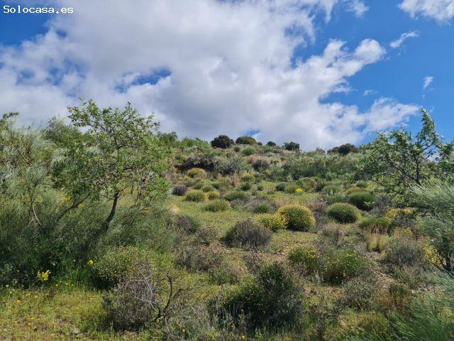Local Comercial en venta en Mairena, Comarca de la Alpujarra Granadina