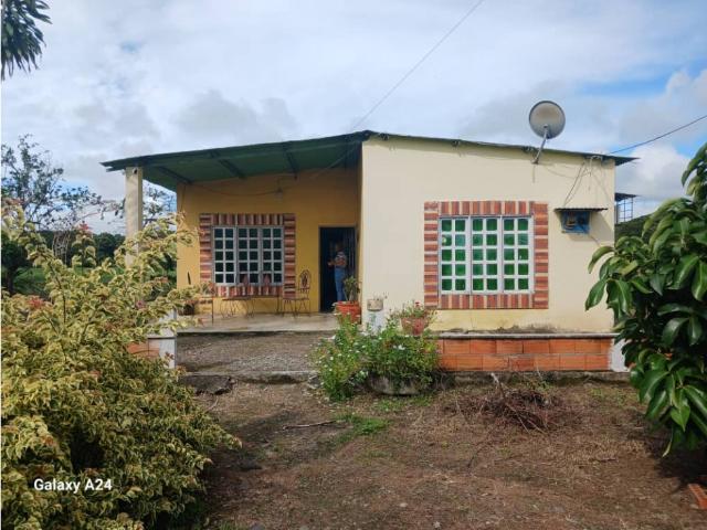 Finca en venta en Gua, Portuguesa