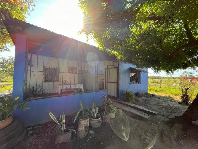 Finca en venta en Guanarito, Portuguesa