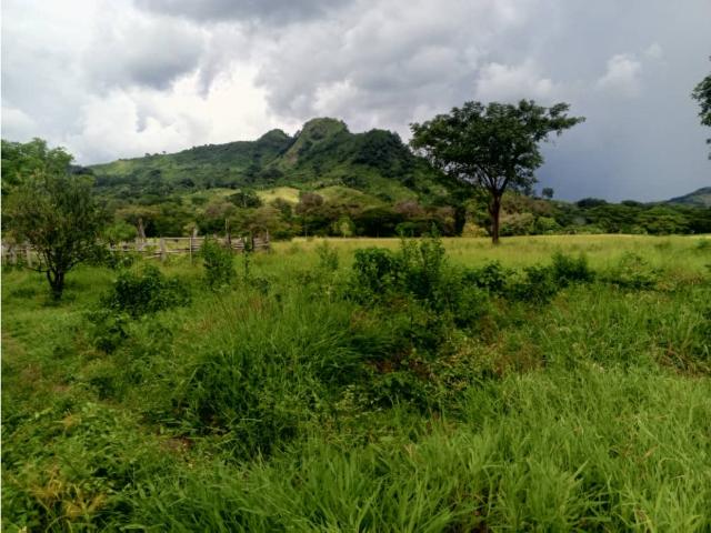 Finca en venta en Portuguesa