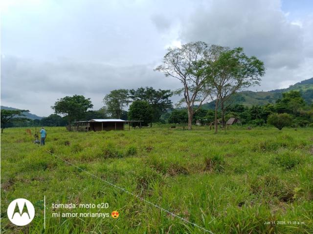 Finca en venta en Portuguesa