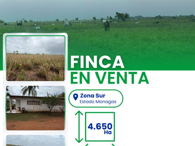 Finca en venta en Maturin, Monagas