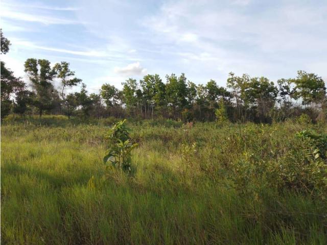 Finca en venta en Tacarigua De Brion., Miranda