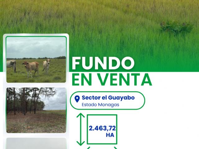 Finca en venta en Monagas