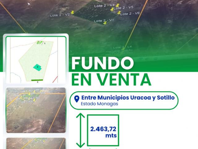 Finca en venta en Uracoa, Monagas
