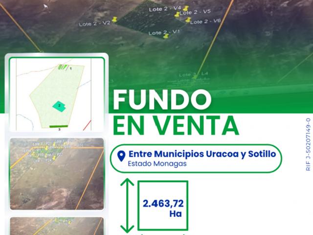 Finca en venta en Uracoa, Municipio Uracoa