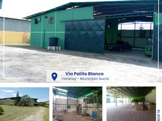 Galpón en venta en Palo Verde, Yaracuy