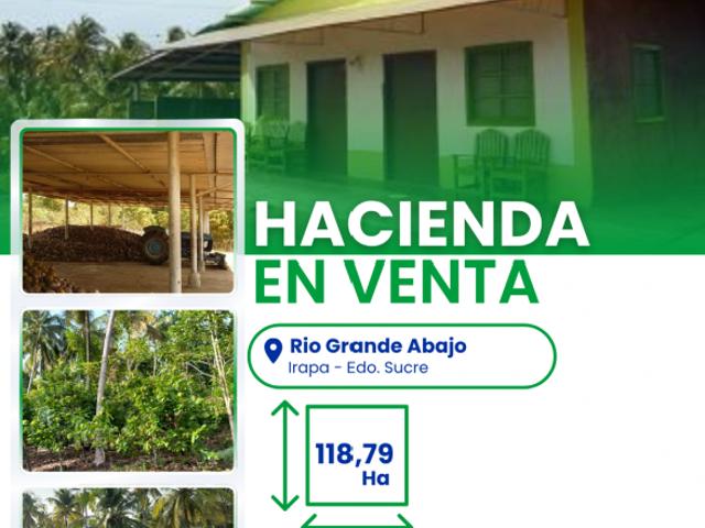 Finca en venta en Carúpano, Sucre