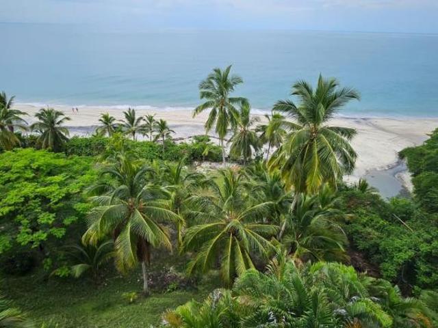Se vende Hacienda en Punta Barco, Coclé