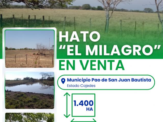 Finca en venta en Pao De San Juan Bautista, Cojedes