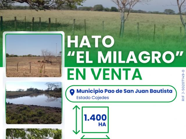 Finca en venta en Municipio El Pao, Cojedes