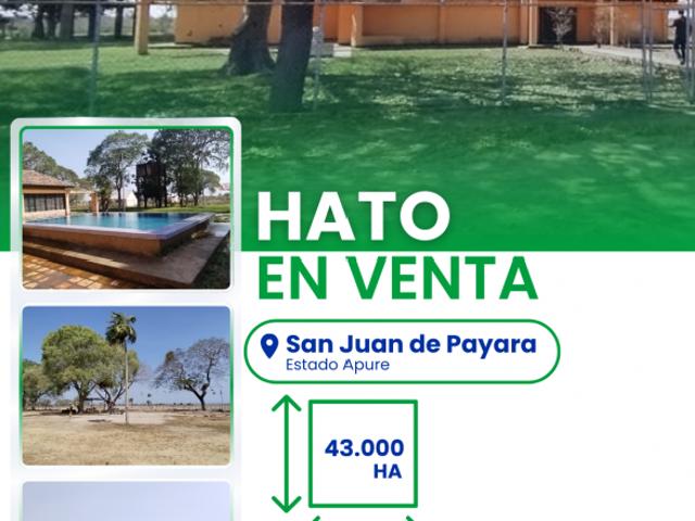 Finca en venta en Cunavichito, Apure