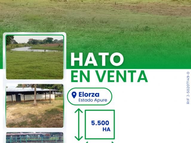 Finca en venta en Vuela del Cacho, Elorza