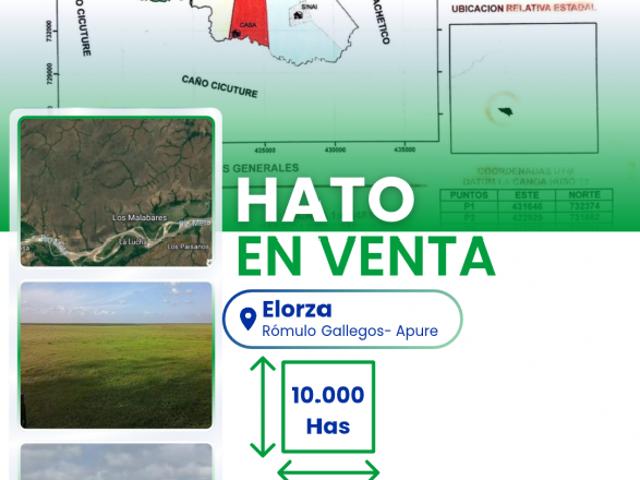 Finca en venta en Lechozote, La Trinidad de Orichuna