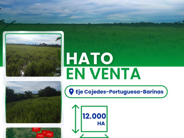 Finca en venta en Cojedes