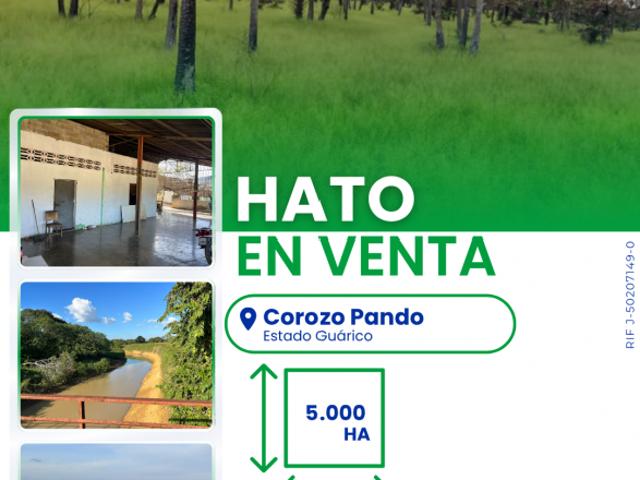 Finca en venta en Corozo Pando